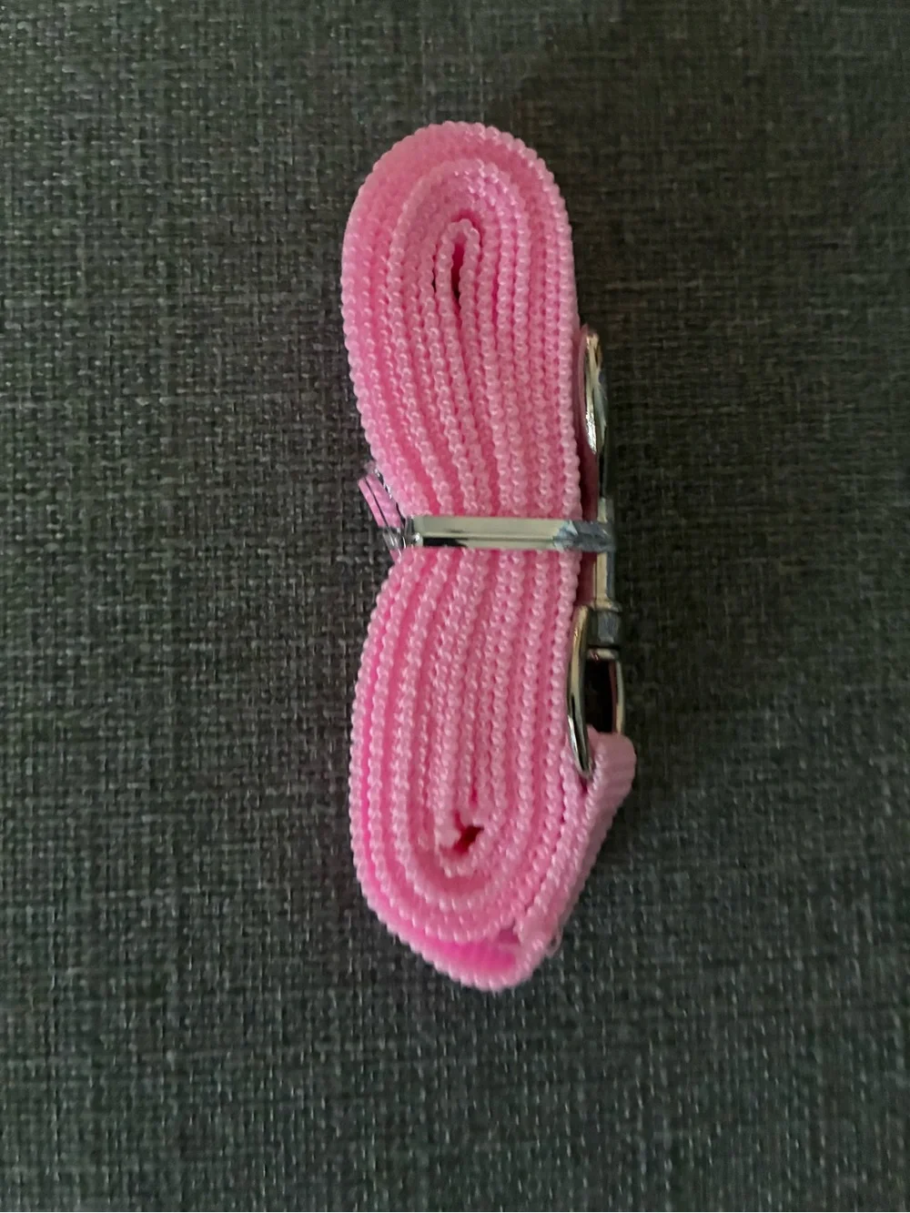 NWOT Pink Dog Leash